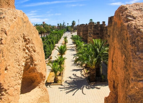 Excursion d'un jour : Taroudant et l'Oasis de Tiout Depuis Agadir